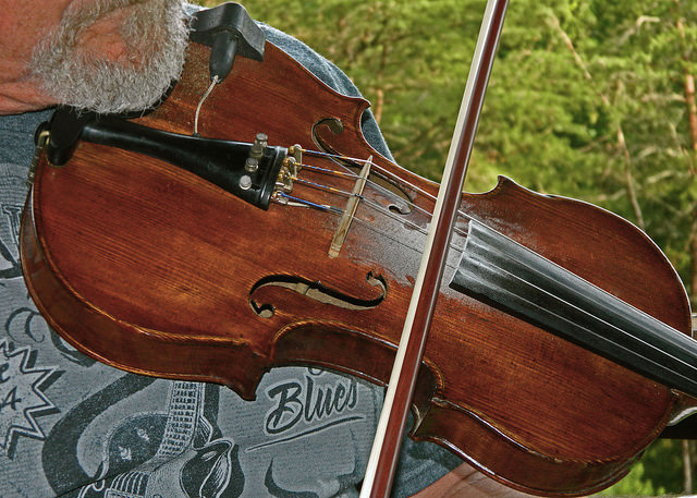 Fiddle State Musical Instrument | State Symbols USA