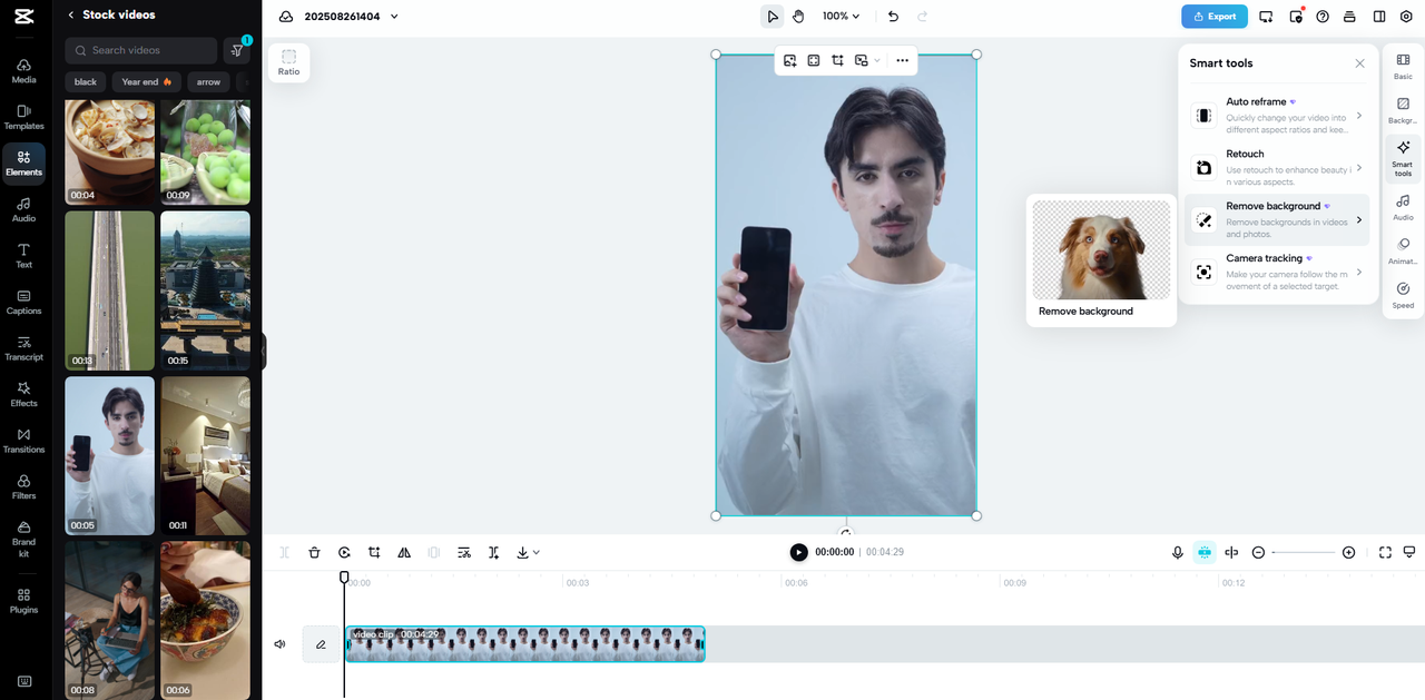 CapCut Background Remover