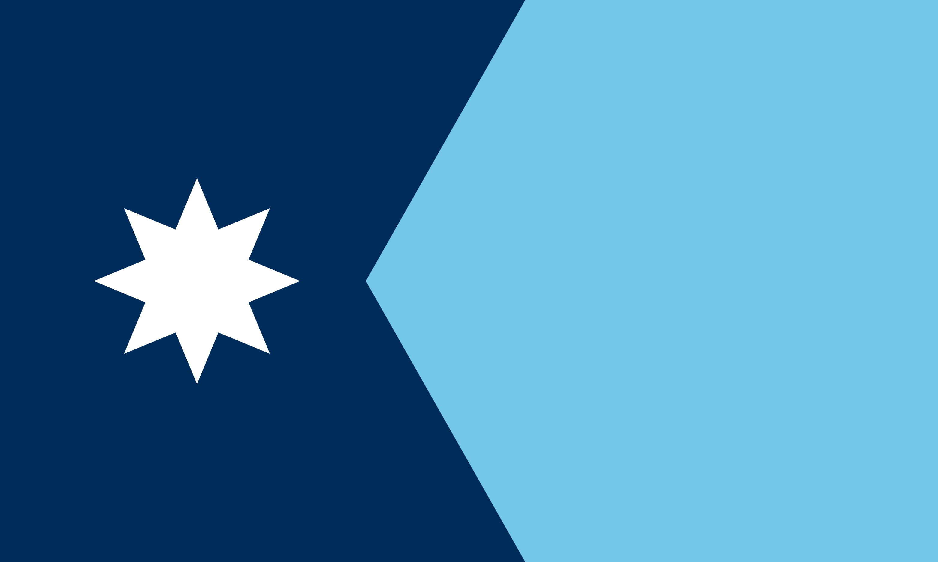 Minnesota State Flag