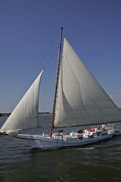 Skipjacks on the Chesapeake