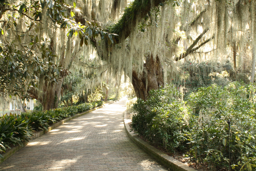 Florida State Park Alfred B Maclay Gardens State Park In