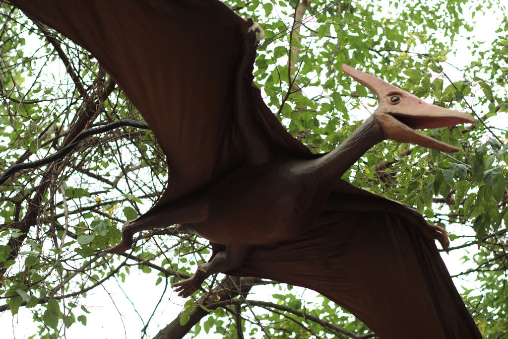 flying pteranodon