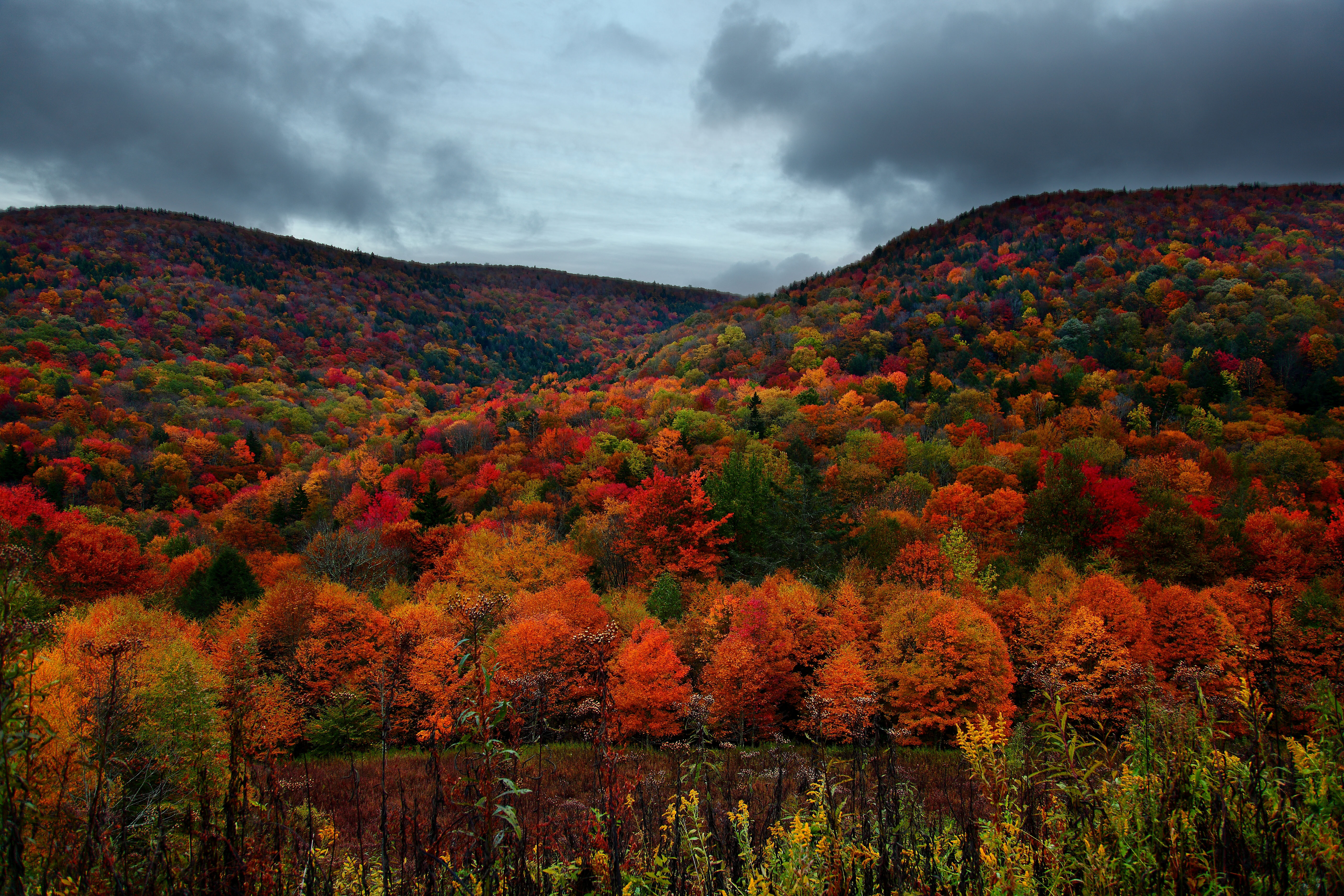 горы осень деревья mountains autumn trees загрузить