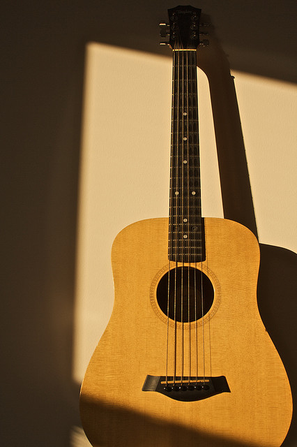 Texas State Musical Instrument | Guitar