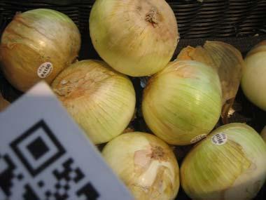 Texas 1015 sweet onions Texas 1015 sweet onions