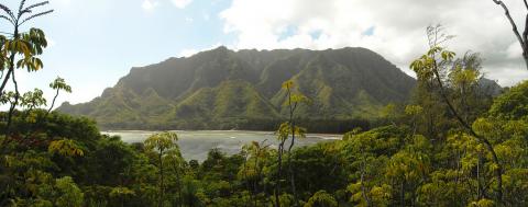 Ahupuaʻa O Kahana State Park View from the trail at Ahupuaʻa O Kahana State Park, Hawaii