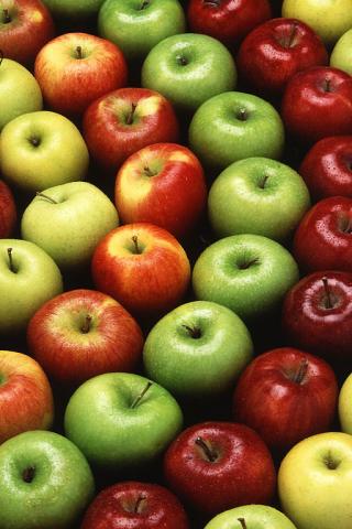Image of a variety of apples, the official fruit of Washington State