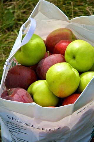 Vermont apples 
