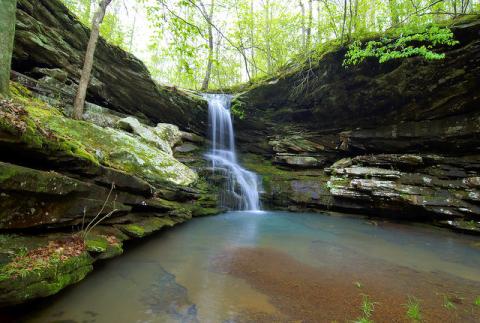 Magnolia falls in Arkansas Magnolia falls in Arkansas