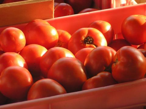 Arkansas tomatos