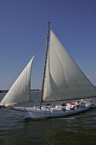 Chesapeake Bay Skipjack Authentic Chesapeake Bay Skipjack