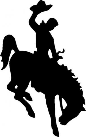 Bucking horse and Rider; registered trademark of Wyoming