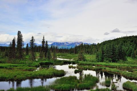 Denali State Park, Alaska
