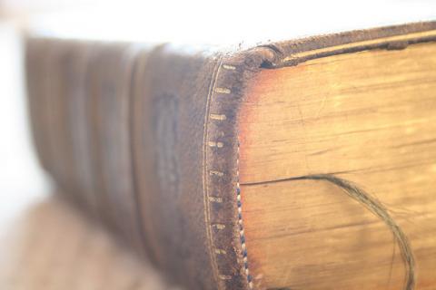 English Dictionary English Dictionary