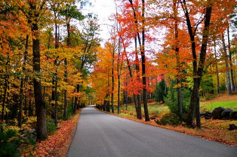 Fall foliage in Dover, NH Fall foliage in Dover, New Hampshire