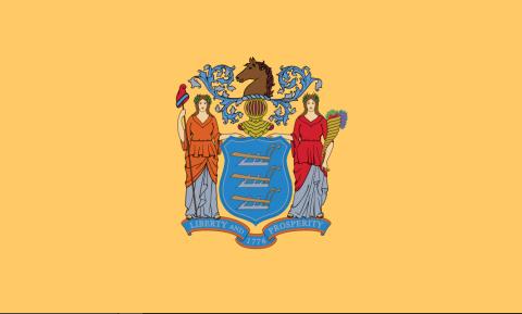 Flag of New Jersey New Jersey State Flag