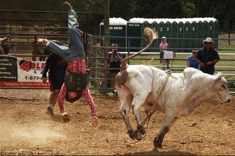 Florida rodeo Florida rodeo