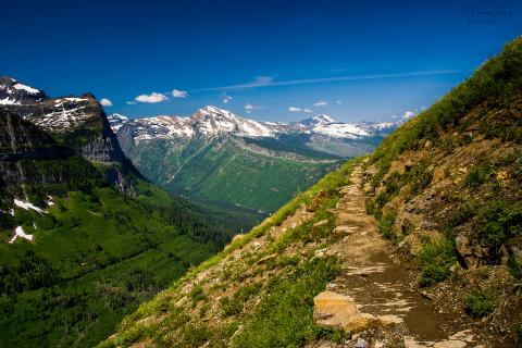 Glacier National Park, Montana Highline Trail, Glacier National Park, Montana