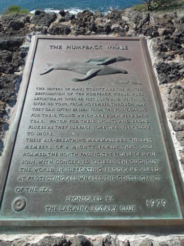 The Humpback Whale marker in West Maui, Hawai'i