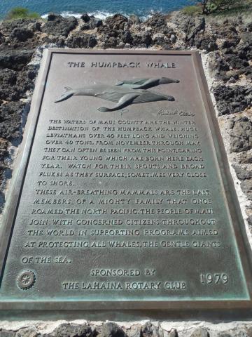 The Humpback Whale marker The Humpback Whale marker in West Maui, Hawai'i