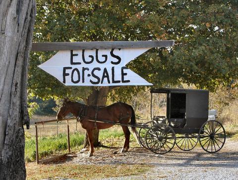 Indiana Amish Country Indiana Amish Country