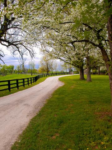 Kentucky bluegrass country Kentucky bluegrass country
