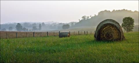 Kentucky farmland Rural Kentucky - farmland with bales of hay in morning mist