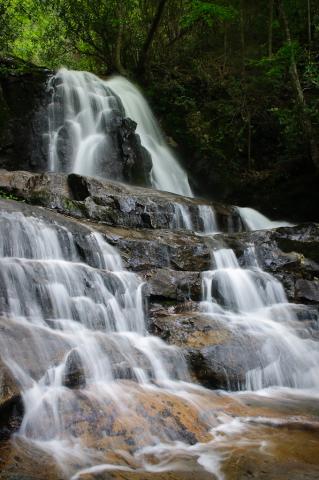 Laurel Falls, Tennessee Laurel Falls, Tennessee