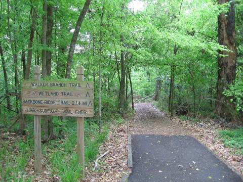 Louisiana State Arboretum Trails: Louisiana State Arboretum / State Preservation Area