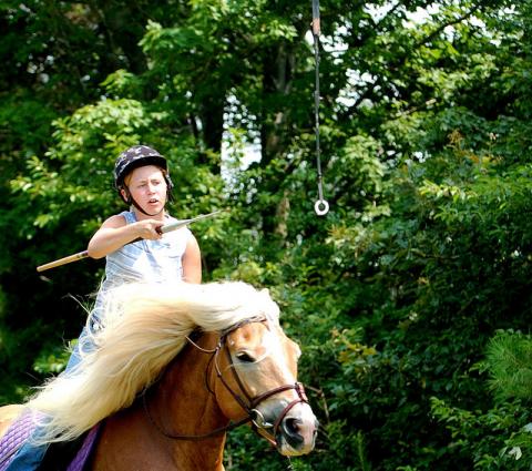 Jousting Jousting