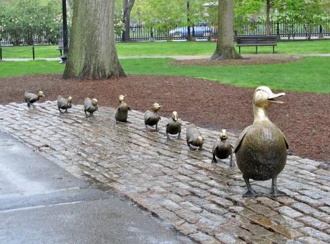 Make Way for Ducklings sculpure in Boston Make Way for Ducklings sculpure in Boston