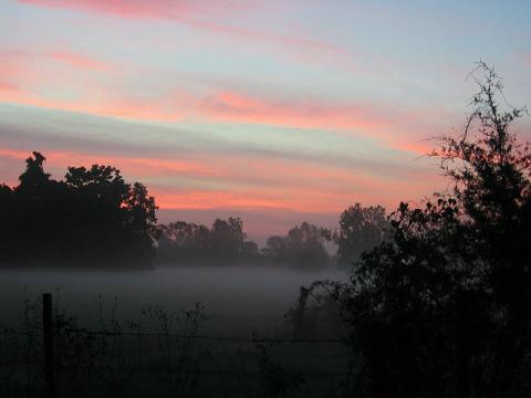 Louisiana morning fog