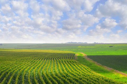 Nebraska crops Nebraska landscape with crops