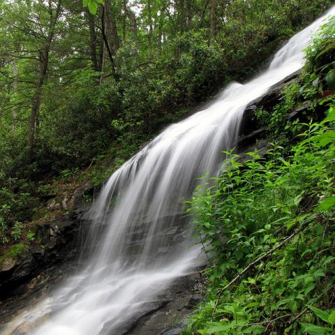 Waterfall in North Carolina Waterfall in North Carolina