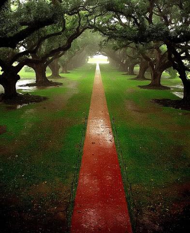 Oak Alley Plantation, New Orleans Oak Alley Plantation, New Orleans
