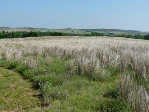 Oklahoma prairie Oklahoma prairie