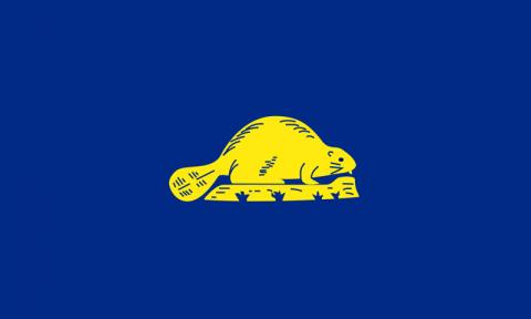 Reverse side of Oregon flag Oregon flag reverse
