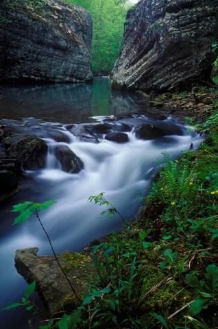 Trail in Arkansas Trail in Arkansas