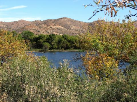 Patagonia Lake State Park Patagonia Lake State Park, Arizona
