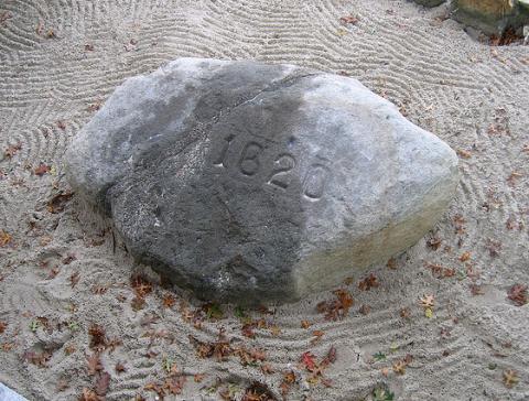 Plymouth Rock Plymouth Rock