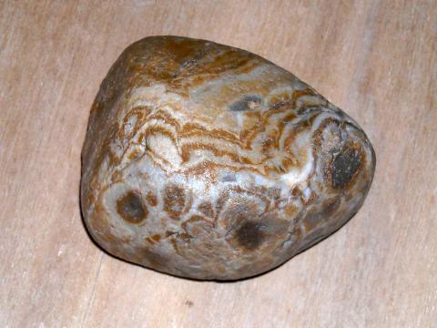 Prairie agate Uncut, unpolished prairie agate; the state rock of Nebraska.