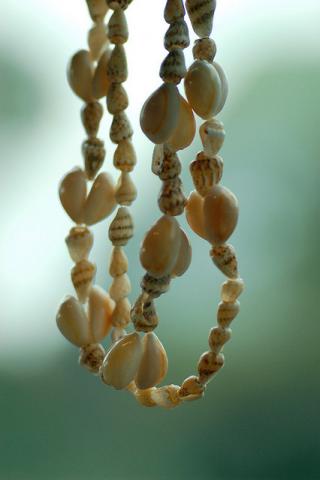 Pupu shell necklace Pupu shell necklace