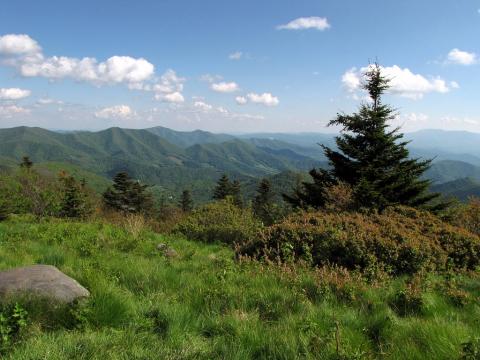 Appalachian Trail in Tennessee Appalachian mountain vista, Cove Creek, Tennessee