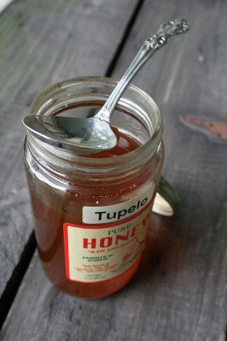 Tupelo honey