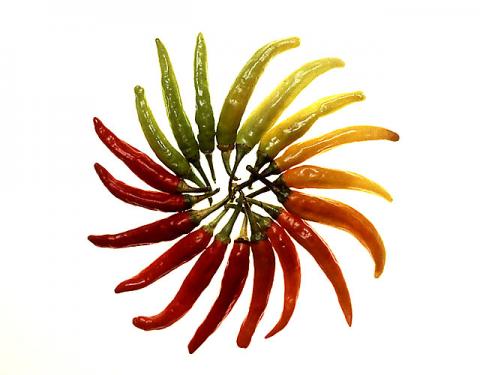 Photo of red an green chile peppers