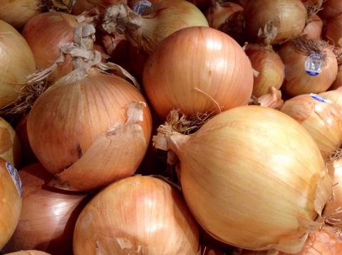 Georgia State Vegetable | Vidalia Onion