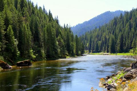 Wild and scenic river in Idaho