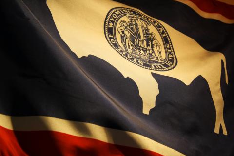Wyoming state flag Wyoming flag waving