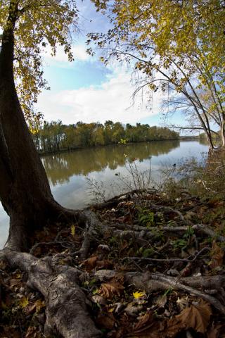Banks of the Wabash river Banks of the Wabash river