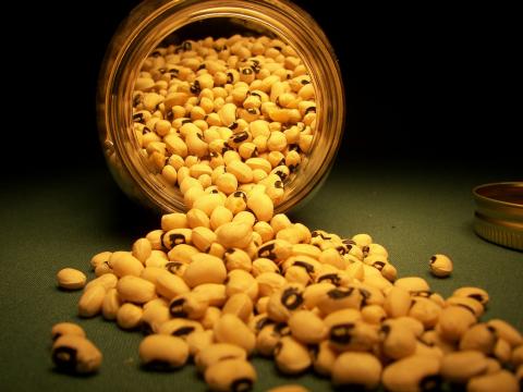 Black-eyed peas Black-eyed peas; an essential ingredient of Oklahoma's official state meal